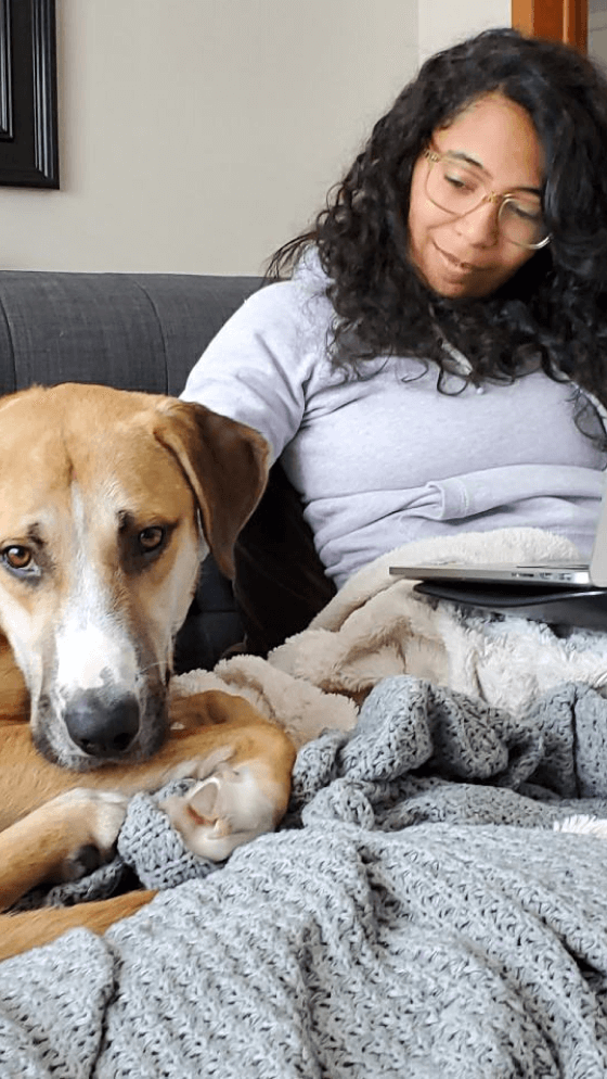 Mickey the dog cuddles up to owner as she works on the sofa
